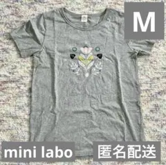 Item thumbnail for item 32dbb51a-b2b7-4990-a60e-14524d2770e7