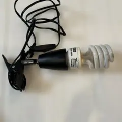 Item thumbnail for item 841b0464-ab31-4ee5-a839-fbf21c2426d2