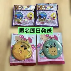★サンリオキャラクターズ ホログラム缶バッジ　ポムポムプリン&ポチャッコ 日焼け