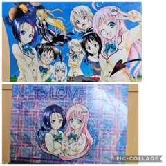 2026年最新】toloveる クリアファイルの人気アイテム - メルカリ