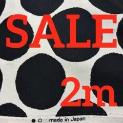 オックス生地　ドット柄