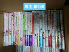 Asami Matsuo 様 専用 箱24B