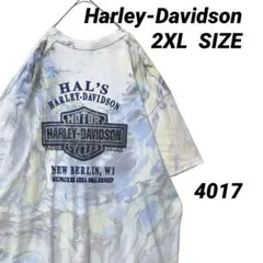 ハーレーダビッドソン 00s Tシャツ 2XL タイダイ 胸ポケT 両面プリント