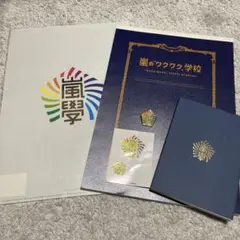 Item thumbnail for item 3e865dab-c2f8-471d-8b72-b5d1036fa63d