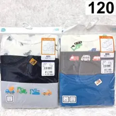 Item thumbnail for item 6d484c13-f85c-423d-a1e0-3439bf7a5278