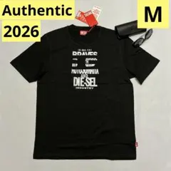ラスト1点 DIESEL T-ISCO-DIV A10508 M ロゴ ノースリ - メルカリ