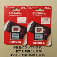 2026年最新】nintendo switch sdカード 256gbの人気アイテム - メルカリ