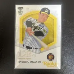 Item thumbnail for item 3a3d5d32-831a-4d63-882e-24cd4729c4b6