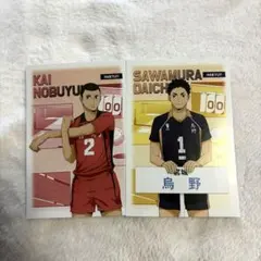 アニメイト特典 主将副主将フェアハイキュー!!澤村大地 海信行2点セット