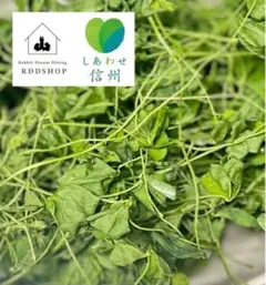 メメちゃん様 リクエスト 4点 まとめ商品