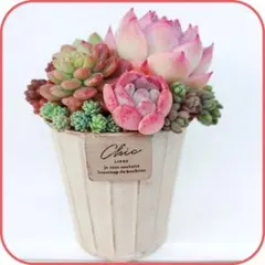 フローレンス様 リクエスト 2点 まとめ商品