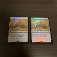 不毛の大地 英語版 4枚セット mtg MTG 不毛の大地/Wasteland 英語4枚 - メルカリ