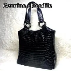 ✨極美品✨高級　ポロサス　ミニ　ハンドバッグ　鰐革　マット　スエード　ブラック