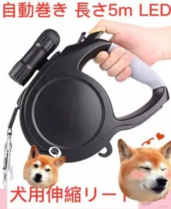 犬用リード 伸縮リード 自動巻き 長さ5m LED埋め込み式 持ちやすい 夜間散