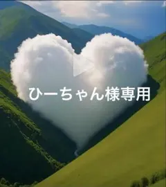 ひーちゃん様専用