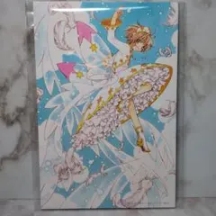 0909様 リクエスト 2点 まとめ商品