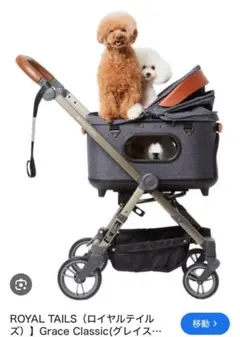 Item thumbnail for item ed89ebf1-79a2-4c88-988b-0cde855dfcb4