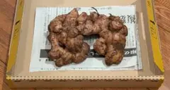 「三州生姜」 種生姜 250gのサムネイル