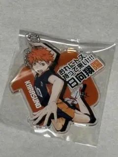 ハイキュー!!日向翔陽 アクリルキーホルダー