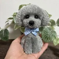 動物ぽんぽん　トイプードル　薄いグレー