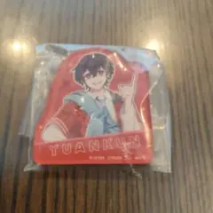 カラフルピーチ　キャラマグネッツ　ゆあんくん　　からぴち　磁石