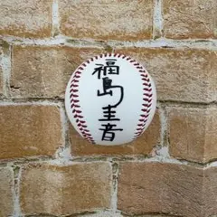 ⭐︎阪神タイガース⭐︎ 福島圭音 選手 直筆サインボール 貴重！ 支配下登録