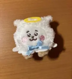 BT21 ぬいぐるみバッジ　ファミマ限定 RJ