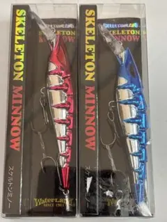 2025年最新】スケルトンミノー ウォーターランドの人気アイテム - メルカリ