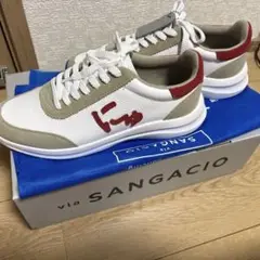 抽選販売で購入、箱あり