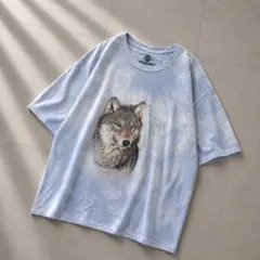 ニコアンド ［Make Stuff'26］aimiモヤカワBIGTシャツ ブルー - メルカリ