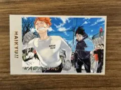 ハイキューメモリアルコレクション 日向翔陽　影山飛雄　レア　色あり　①