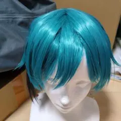 2025年最新】フロイド ウィッグの人気アイテム - メルカリ