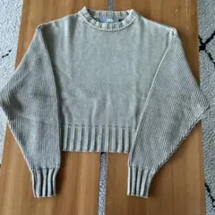 ZARA ベージュ クロップドニット 長袖