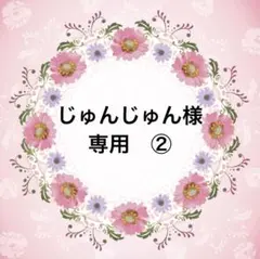 じゅんじゅん様　専用　②