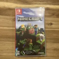 Minecraft Nintendo Switch版