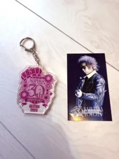 2025年最新】sophia グッズの人気アイテム - メルカリ