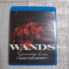 WANDS/Streaming Live～BURN THE SECRET～