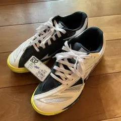 Item thumbnail for item 3f40808c-804e-40b3-b5f0-d3b4ad85fc00