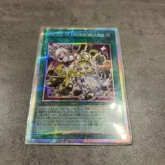 MALICE IN UNDERGROUND プリシク