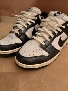 Nike ダンク　28.5