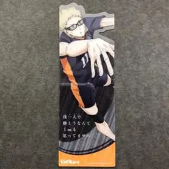 早い者勝ち！！ハイキュー‼︎ブックマークコレクション月島蛍！！