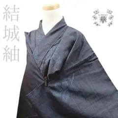 キバナノセッコク 銘品「神衣」最上柄 富貴蘭 長生蘭 万年青 山野草