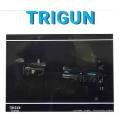 TRIGUN トライガン 2Lプリント ウルフウッド リヴィオ ②