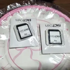 MAGFACT ペンライト用 SDカード Kis-My-Ft2 2025 - メルカリ