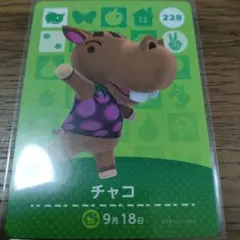 あつまれどうぶつの森　amiiboカード　チャコ