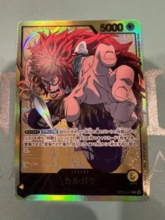 カルガラ リーダーパラレル金枠