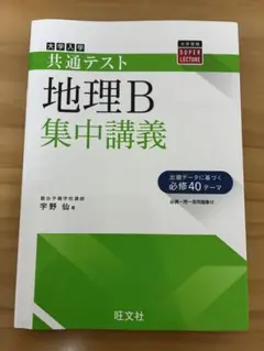 【美品】 共通テスト 地理B 集中講義 旺文社