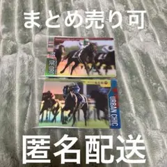 アーバンシック　レイデオロ　ルメールセット