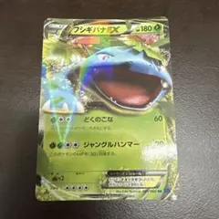フシギバナEX RR XY 拡張パック「コレクションX」 キラ 001/060のサムネイル
