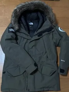 【入手困難　L THE NORTH FACE 】アンタークティカパーカ